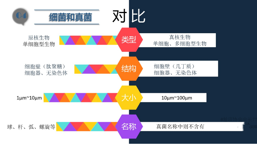 食品潔淨車間,環境黴菌（jun1）來源,黴菌控製措施（shī），滁州無塵淨（jìng）化車間