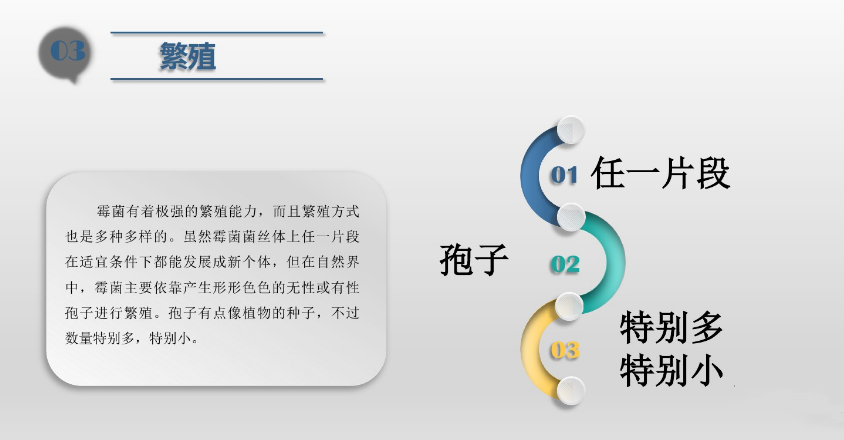 食（shí）品潔淨車間,環境黴菌來源,黴菌控製措施，滁州無塵淨化車（chē）間